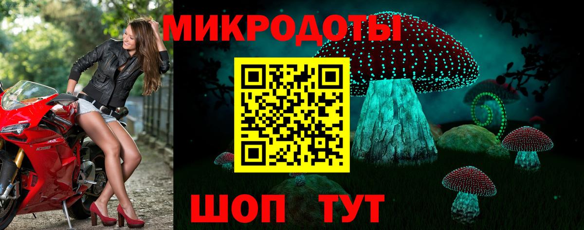 Сегежа  Галлюциногенные грибы мицелий  Галлюциногенные грибы мицелий  Вход с VPN 