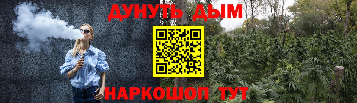 Канабис SATIVA & INDICA Сегежа